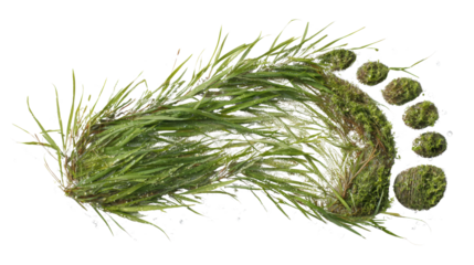 Eco-friendly footprint made of grass and stones on a white isolated background.