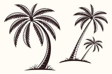 Fototapeta premium Vintage Line Art Palm Trees Collection for Tropical Design