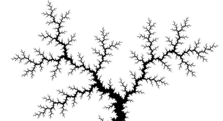 Obraz premium Fractal Tree Branch Pattern - Abstract Nature Black and White Art 