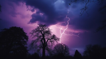 Stunning lightning striking through dark purple clouds over silhouetted trees at dusk, creating a dramatic scene.