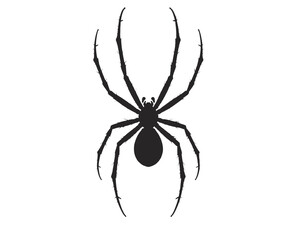 Detailed Black Spider Silhouette with Spiked Legs on a White Background