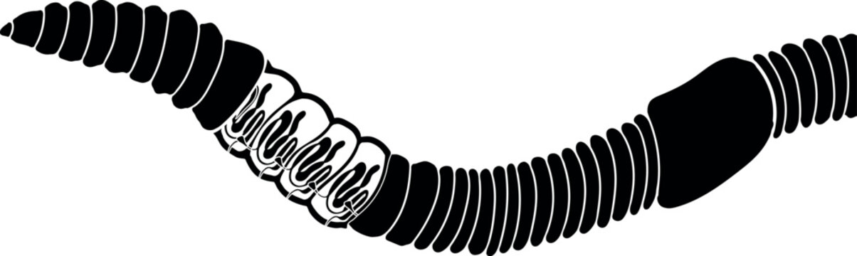 black worm illustration, segmented body, white background clip art preview