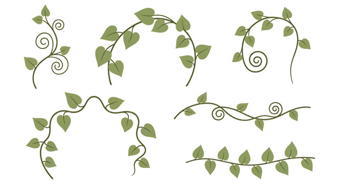 Plant vine design elements
