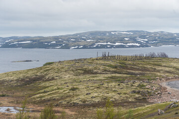 Scenic Arctic tundra landscape near Teriberka, Russia, with moss-covered hills, small lakes, and...