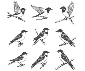 Nine Black and White Bird Illustrations Perched on Branches in Various Poses