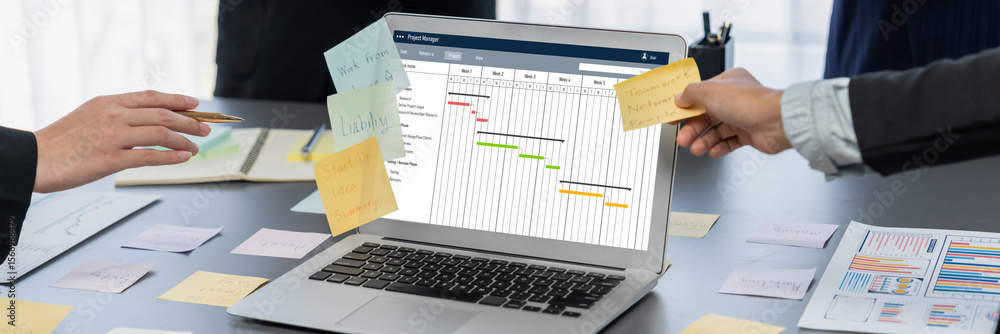 Poster project planning software for brisk business project management on the computer screen showing timel