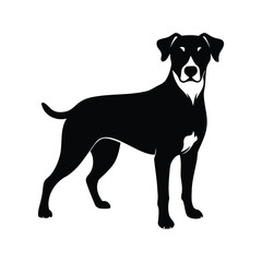 Elegant Silhouette of a Black and White Dog Standing Alertly in Profile