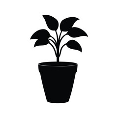 Monochrome Plant in a Pot, a Simple and Elegant Vector Illustration