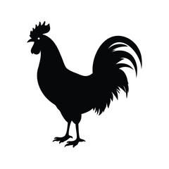 Black silhouette of a rooster against a white background in profile view