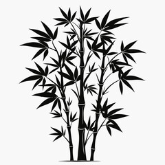 Fototapeta premium bamboo vector illustration