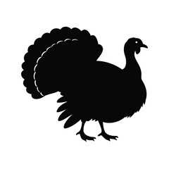 Elegant Silhouette of a Turkey Displaying its Feathers in Profile View