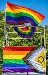 Colorful pride flags displayed among trees during a vibrant celebration of diversity and inclusion...