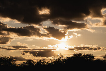 Sun shines brightly behind various layers of clouds during golden hour above silhouette of trees.
