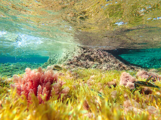 Dark blue ocean surface seen from underwater. Abstract waves underwater and rays of sunlight shining through, Sun light rays undersea deep, Underwater background with sea bottom, Mediterranean sea.