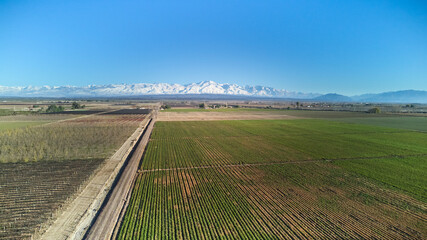 Agricultural field in Mendoza, Argentina. Aerial view. No AI.