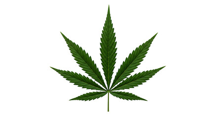 You've reached our limit of messages per hour Please try again later