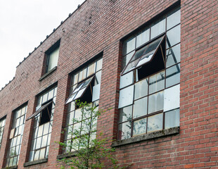 Fototapeta premium windows of an old building