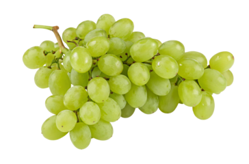 A bunch of fresh green grapes isolated on a plain white background ready to be eaten today