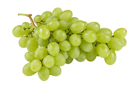 A bunch of fresh green grapes isolated on a plain white background ready to be eaten today