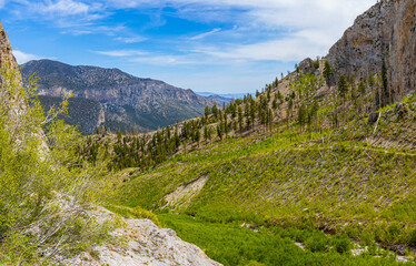 View of The Avalanche Chute Looking Down Kyle Canyon on The Echo Trail, Spring Mountains National...