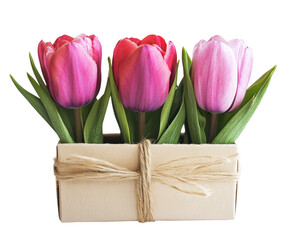 Vibrant tulips arrangement floral shop still life bright isolated on transparent background