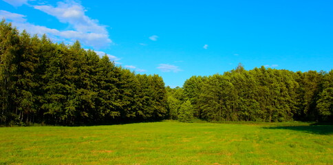 Krajobraz z łąką i błękitnym niebem