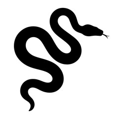 Fototapeta premium Design a black silhouette of a Amazon Tree Boa white background clean vector shape