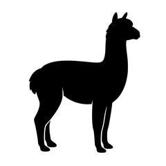 Fototapeta premium Design a black silhouette of a Alpaca white background clean vector shape