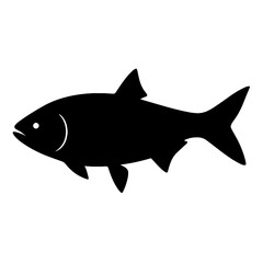 Obraz premium Design a black silhouette of a Asian Carp white background clean vector shape
