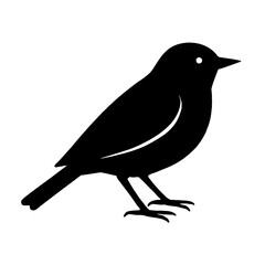 Obraz premium Design a black silhouette of a Blackpoll Warbler white background clean vector shape