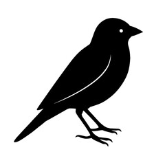 Fototapeta premium Design a black silhouette of a Bobolink white background clean vector shape
