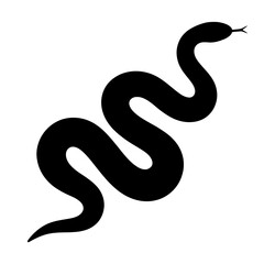 Fototapeta premium Design a black silhouette of a California Kingsnake white background clean vector shape