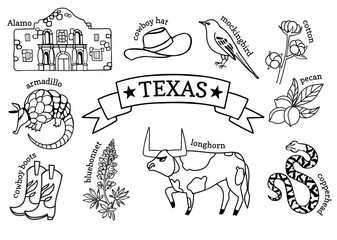Texas symbols. Vector linear illustration set for stickers, decoration, covers, wallpaper, posters