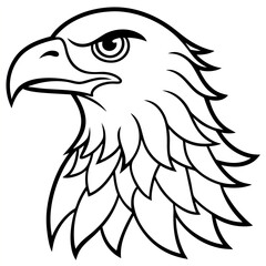 Hand drawn eagle flying drawing illustration