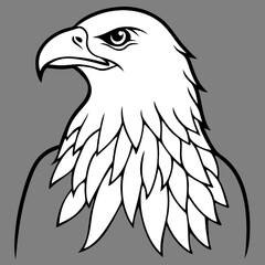 Hand drawn eagle flying drawing illustration