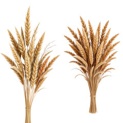 Fototapeta premium Beautiful Arrangement of Dried Wheat Stalks in Natural Color Palette for Home Decor or Rustic Settings