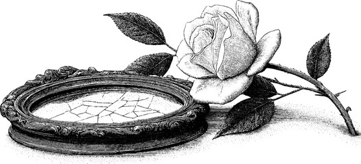 Antique frame with cracked mirror and rose in vintage engraving style for retro design