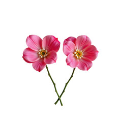 Stunning Pink Blossoms on Green Stems Isolated on Black Background for Elegance and Natural Beauty