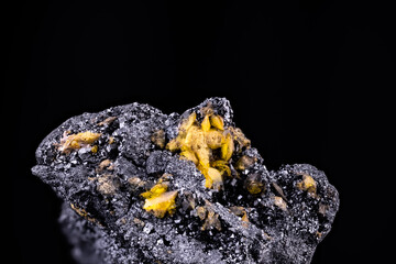 Yellow Sturmanite on black Manganite. Specimen from N'Chwaning 2, South Africa. macro photography detail texture background. close-up mineral crystal unpolished semi-precious gemstone