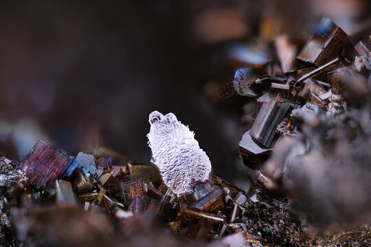 clear Wavellite on Natrodufrenite. Specimen from Fragas da Carvalhosa, Felgar, Portugal. Micro photography extreme close-up. microscope mineral crystal photography for Scientific use.
