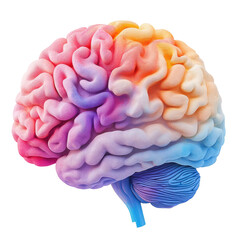 Exploring neuroplasticity in colorful brain digital gallery abstract isolated on transparent background