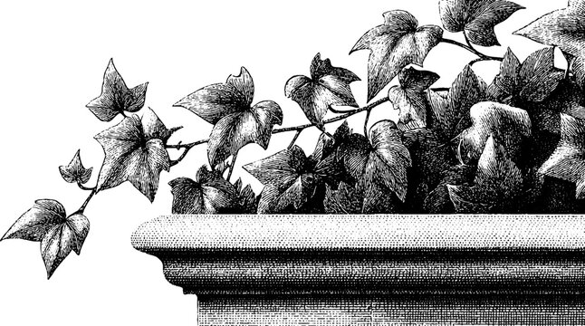 Vintage engraving of ivy bound parapet with sunken watchtower base for retro design
