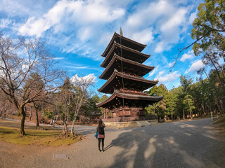A female tourist taking a photo of the majestic five-storied pagoda at Ninna-ji Temple, captured in a dynamic wide-angle shot that emphasizes the scale of the ancient architecture in Kyoto, Japan.