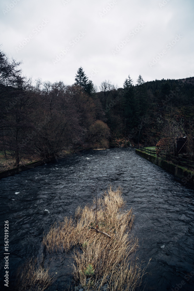 Poster a river with a few trees in the background