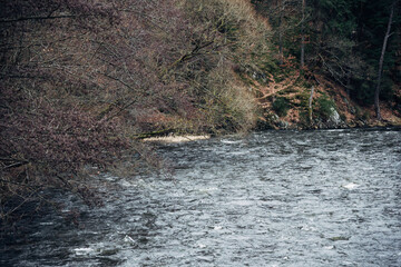 A body of water with a tree in the background