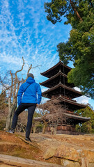 A man in a blue jacket stands on a hill, looking up in awe at a magnificent five-storied wooden...