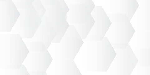 Stylish Abstract Gray and White Background Vector for Premium Branding, Ads, and Clean Digital Designs
