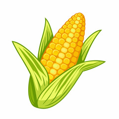 Obraz premium corn isolated on white