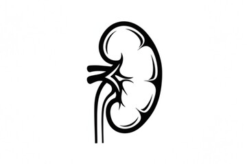 A simple black and white graphic of a kidney, ideal for medical design or biological diagrams showing human anatomy.