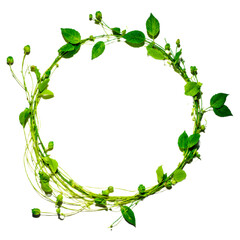 Lush Green Vine Wreath Perfect for Spring and Summer Designs, Botanical Illustrations, and Eco-Friendly Projects.  Create Stunning Natural Frames with this Vibrant Image.